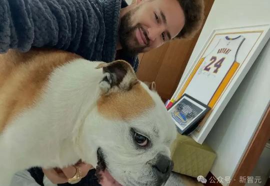 狗也被AI抢饭碗？好莱坞动物演员全下岗，观众直接翻脸了！