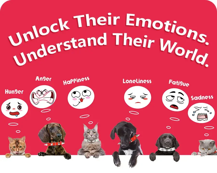 拿下数百万天使轮融资,00后创业者要用AI做狗狗的Apple Watch|对话创始人