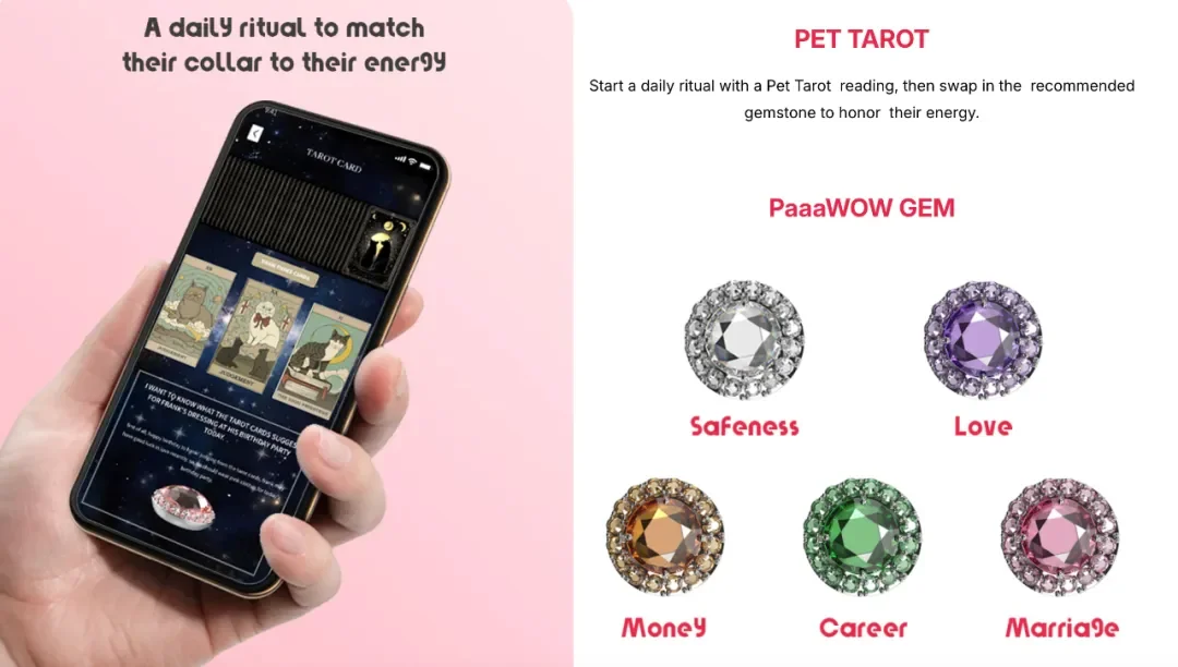 拿下数百万天使轮融资,00后创业者要用AI做狗狗的Apple Watch|对话创始人