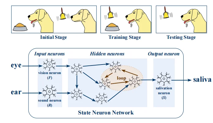 让AI像巴甫洛夫的狗一样学习?北航团队提出智能基础模型,跨越生物与AI鸿沟
