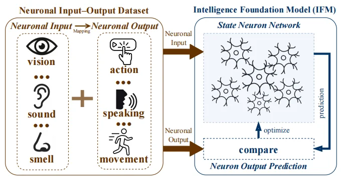 让AI像巴甫洛夫的狗一样学习?北航团队提出智能基础模型,跨越生物与AI鸿沟