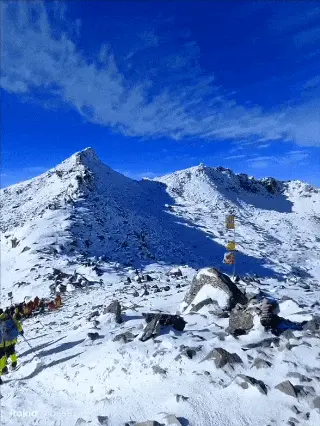 乐奇Rokid这一年，一路狂飙不回头