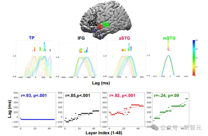GPT在模仿人类？Nature发现：大脑才是最早的Transformer！