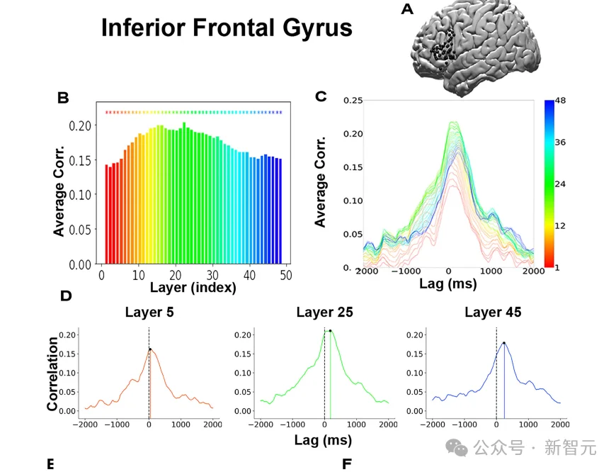 GPT在模仿人类？Nature发现：大脑才是最早的Transformer！