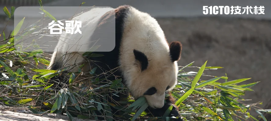 谷歌TPU挑战GPU王座！让Anthropic省下30%算力，买的TPU越多，省下的英伟达GPU支出就越多！网友：英伟达要慌了