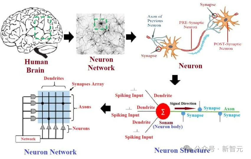 DeepMind科学家惊人预测:AGI在2028年实现,大规模失业要来了