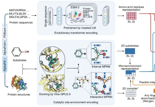 科学家推出全球首个酶-底物三维复合体数据库，酶工程进入超高预测的AI时代！