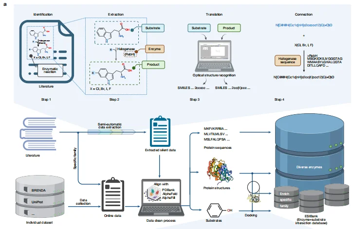 科学家推出全球首个酶-底物三维复合体数据库,酶工程进入超高预测的AI时代!