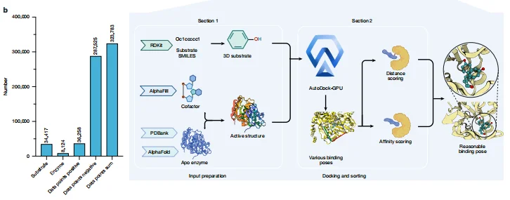 科学家推出全球首个酶-底物三维复合体数据库,酶工程进入超高预测的AI时代!