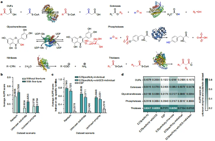 科学家推出全球首个酶-底物三维复合体数据库,酶工程进入超高预测的AI时代!
