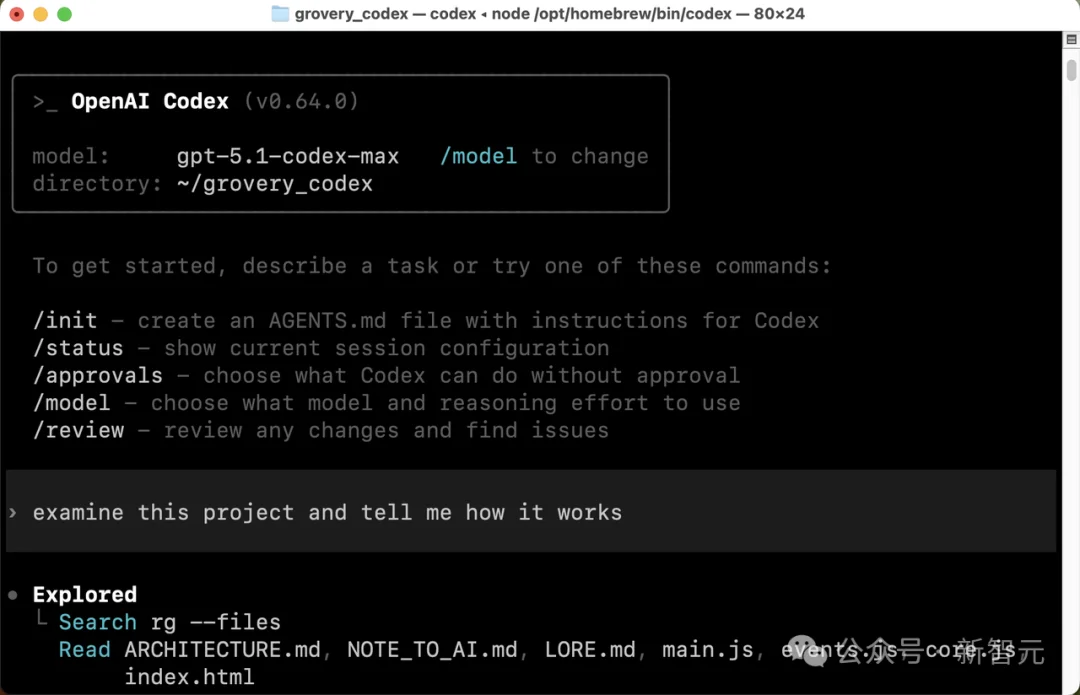 仅4人28天!OpenAI首曝Sora内幕:85%代码竟由AI完成
