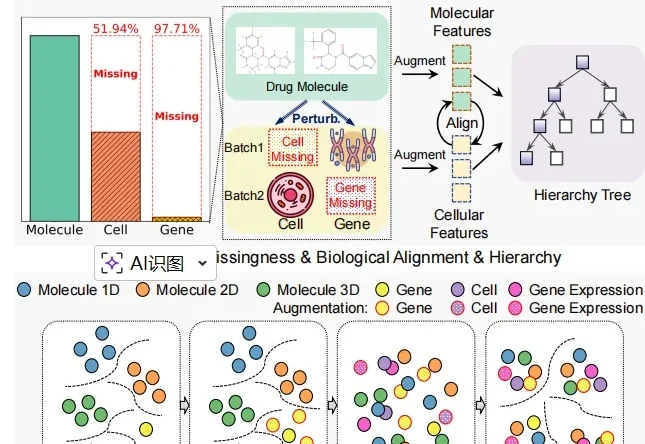 给AI装上细胞之眼：新框架CHMR破解药物研发数据缺失难题