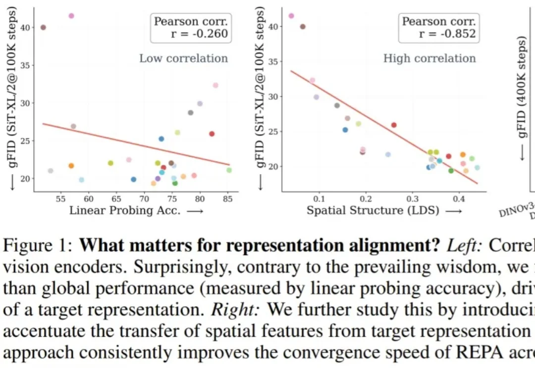 谢赛宁REPA得到大幅改进，只需不到4行代码