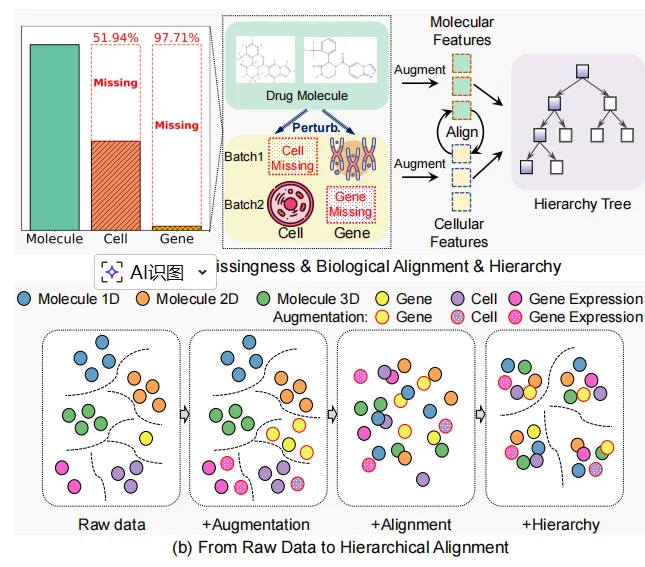 给AI装上细胞之眼:新框架CHMR破解药物研发数据缺失难题
