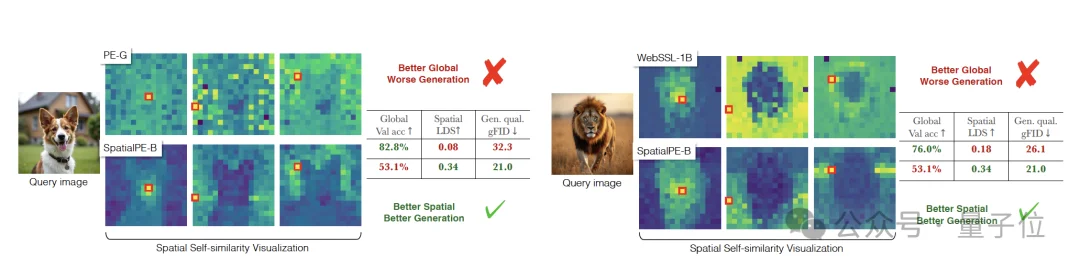 推特吵架吵出篇论文!谢赛宁团队新作iREPA只要3行代码