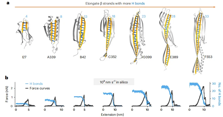 中国科学家用AI造出不怕开水的蛋白质,无惧150℃高温,比肌肉强韧4倍