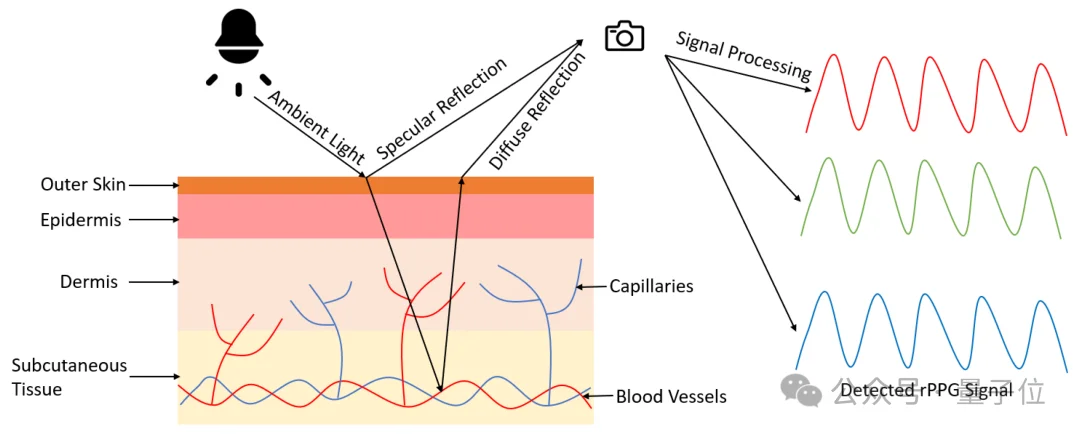 行啊AI PC!现在都能隔空测血压、检测皮肤了