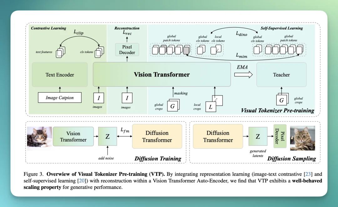 MiniMax海螺首次开源 VTP，打通了 Visual Tokenizer 的 Scaling Law
