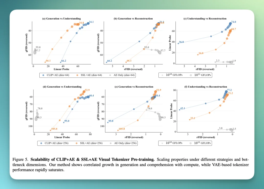 MiniMax海螺首次开源 VTP，打通了 Visual Tokenizer 的 Scaling Law