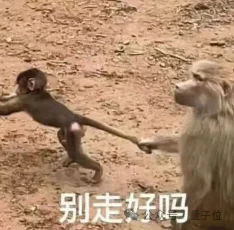 库克提拔复旦校友掌舵苹果基础模型！庞若鸣走后涨薪止血，谷歌旧部占据半壁江山