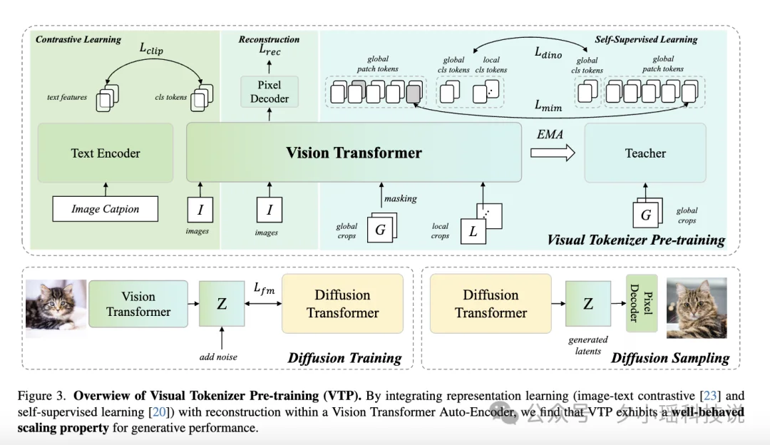 MiniMax海螺首次开源，发现了AI视觉生成领域的Scaling Law