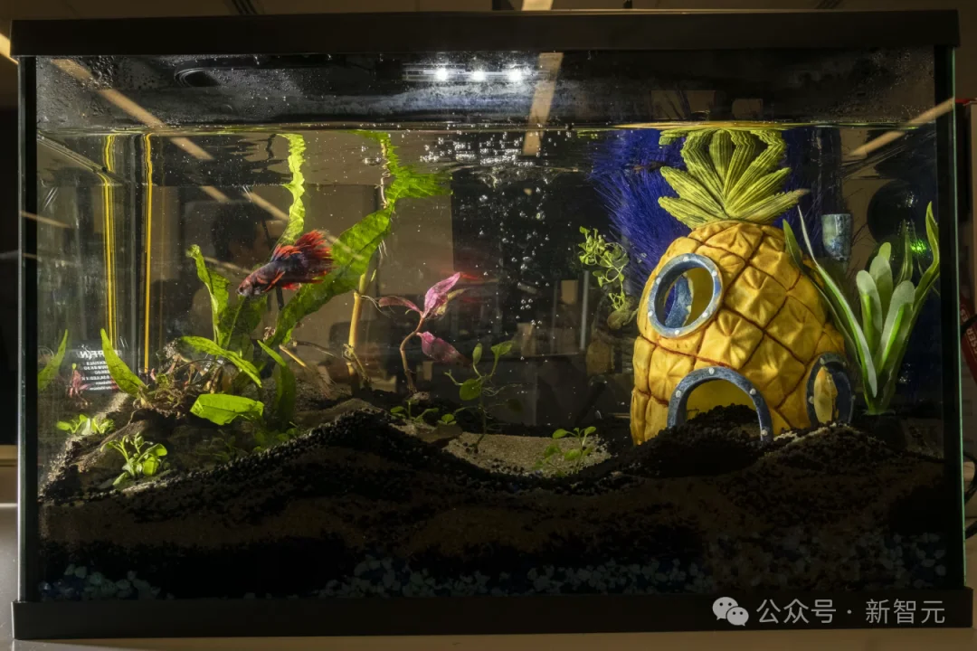 笑疯了！AI开小卖部被人类骗到破产，PS5竟然0元送