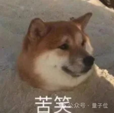 我们走访全国百强三甲医院，发现40%都选了同一家AI公司