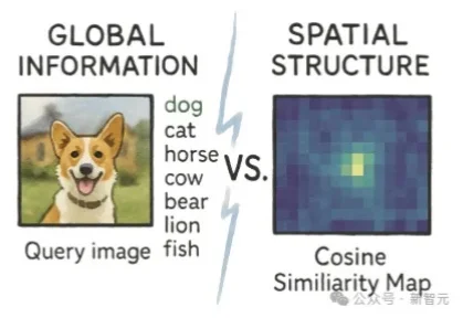 ImageNet分数越高，生成反而越糊？iREPA给出解释