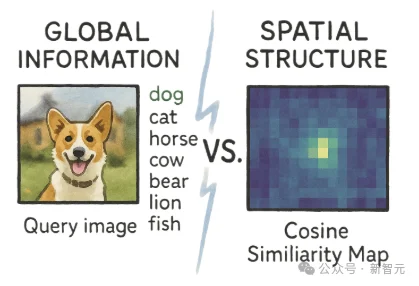ImageNet分数越高，生成反而越糊？iREPA给出解释