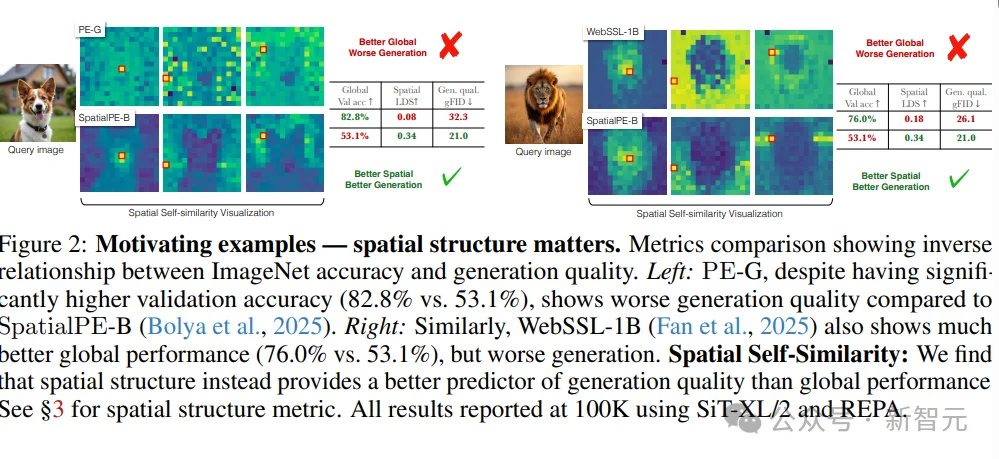 ImageNet分数越高，生成反而越糊？iREPA给出解释