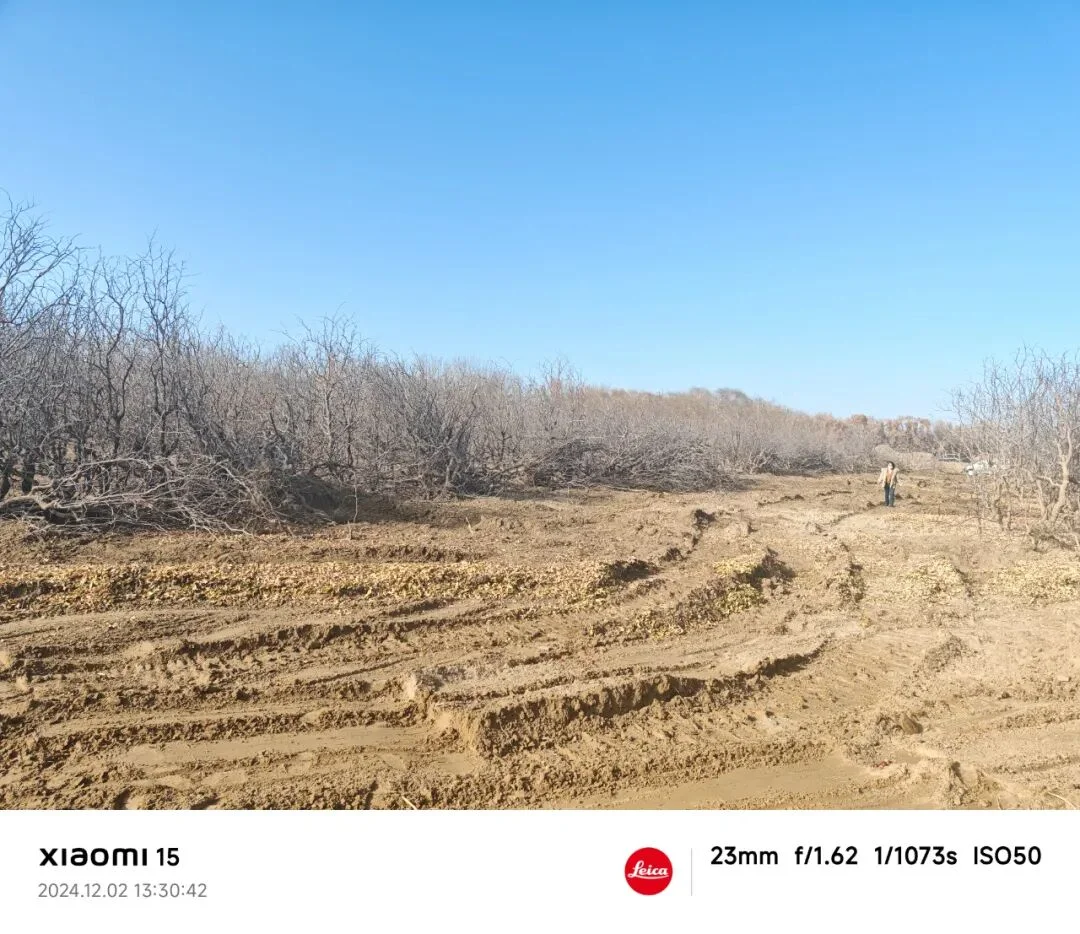 经历一审二审后，我用 Gemini 批判性思维解构了那份让我败诉的判决书（附提示词）