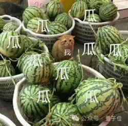 LeCun哈萨比斯神仙吵架，马斯克也站队了