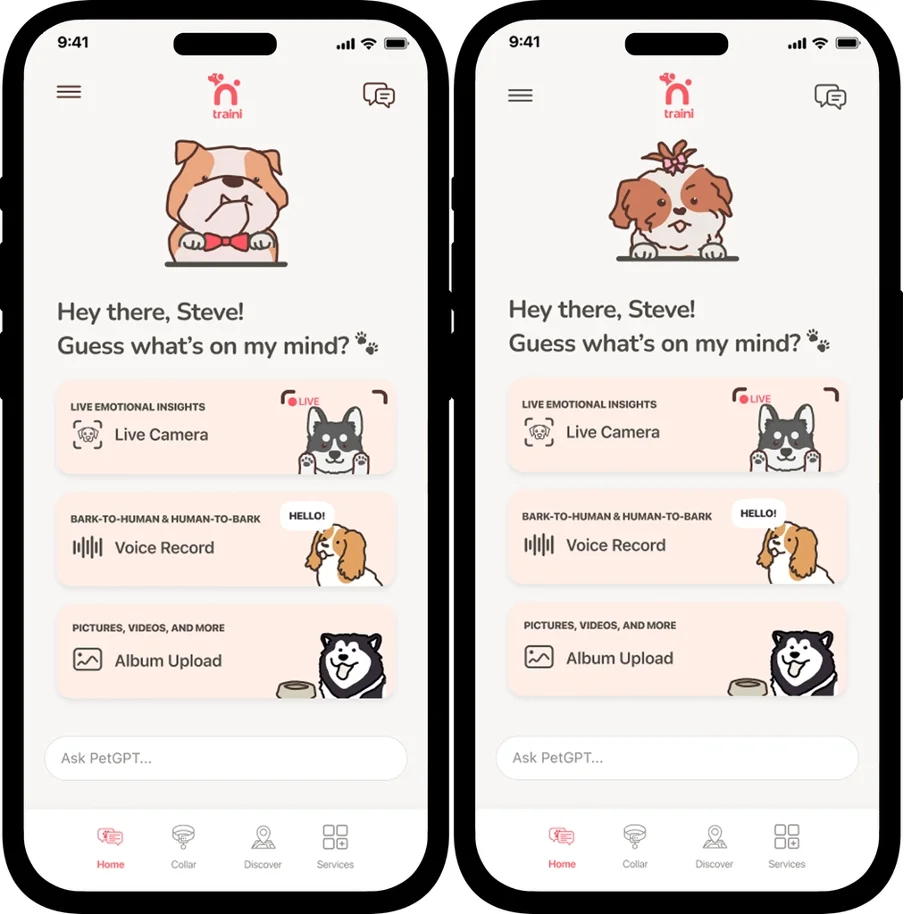 硅谷宠物情感智能公司Traini获超5000万元融资,加速首款AI智能项圈量产