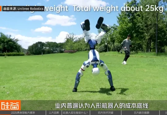 2025具身智能行业年度盘点：从先锋亮相到理性前行