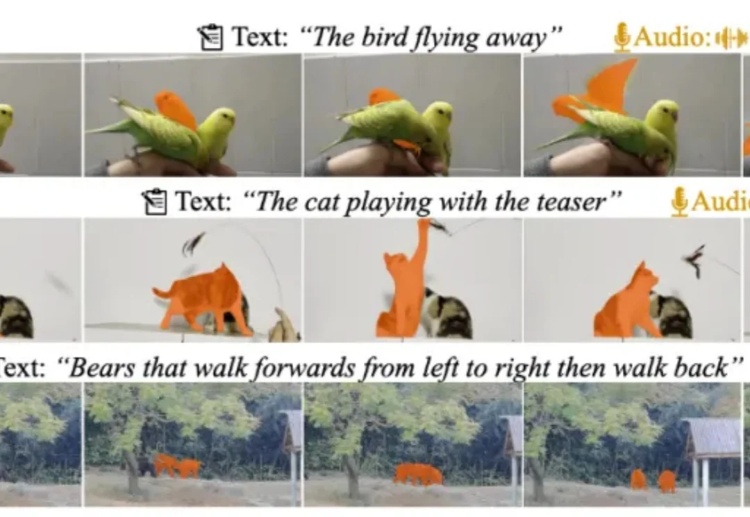 顶刊TPAMI｜多模态视频理解领域重磅数据更新：MeViSv2发布