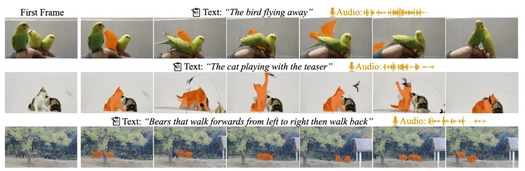 顶刊TPAMI｜多模态视频理解领域重磅数据更新：MeViSv2发布