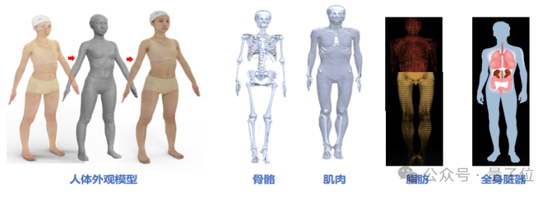 商汤分拆了一家AI医疗公司，半年融资10亿，剑指“医疗世界模型”