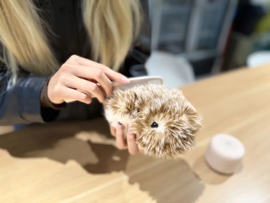 一群年轻人，正在训练AI宠物的灵魂 | 甲子光年