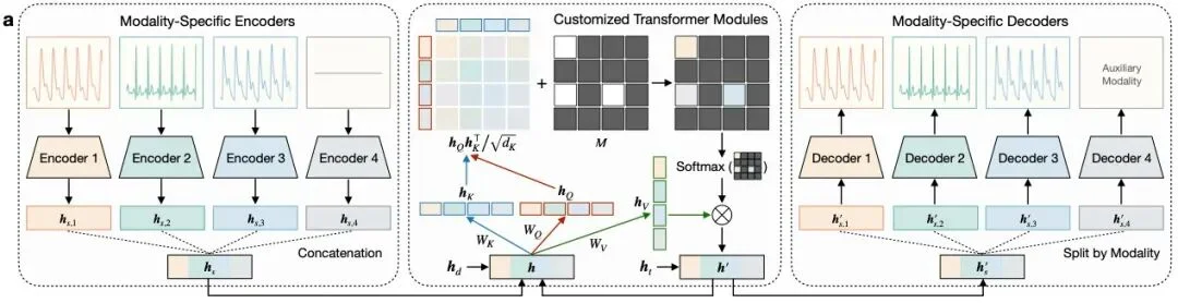 清华朱军团队Nature Machine Intelligence：多模态扩散模型实现心血管信号实时全面监测