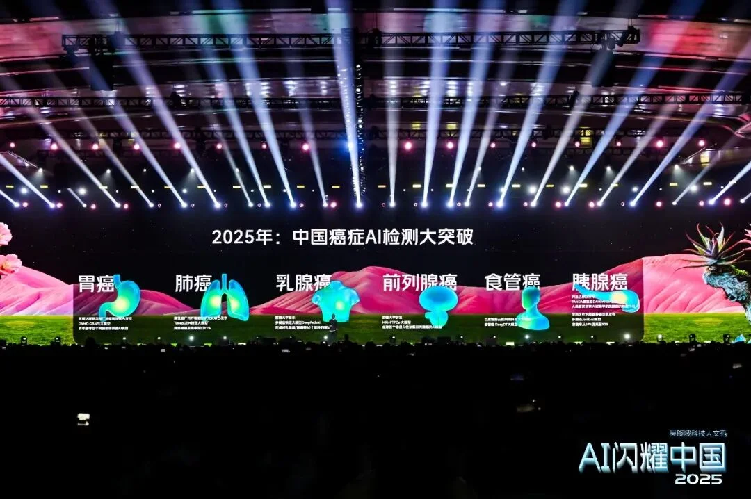 吴晓波：“AI闪耀中国”2025（年度演讲全文）