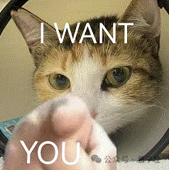 误入人均10个顶级offer的技术天团活动，顶尖AI人才的选择逻辑我悟了