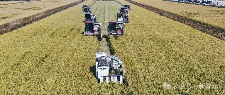 Nature重磅:智能的尽头是算力!谷歌大佬承认「预测下一个词即智能」