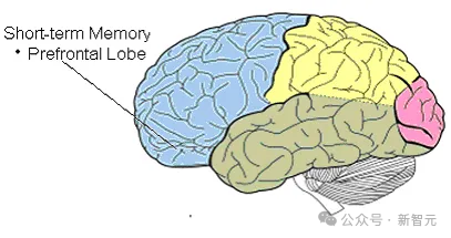 谷歌祭出Transformer杀手，8年首次大突破！掌门人划出AGI死线