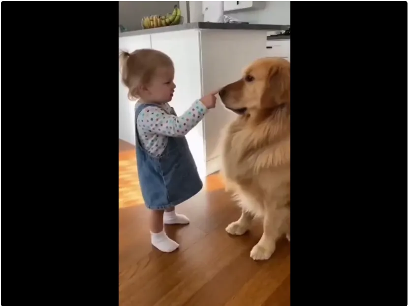 百万人围观的「萌娃教训小狗」视频火了，结果都是AI生成的｜附教程