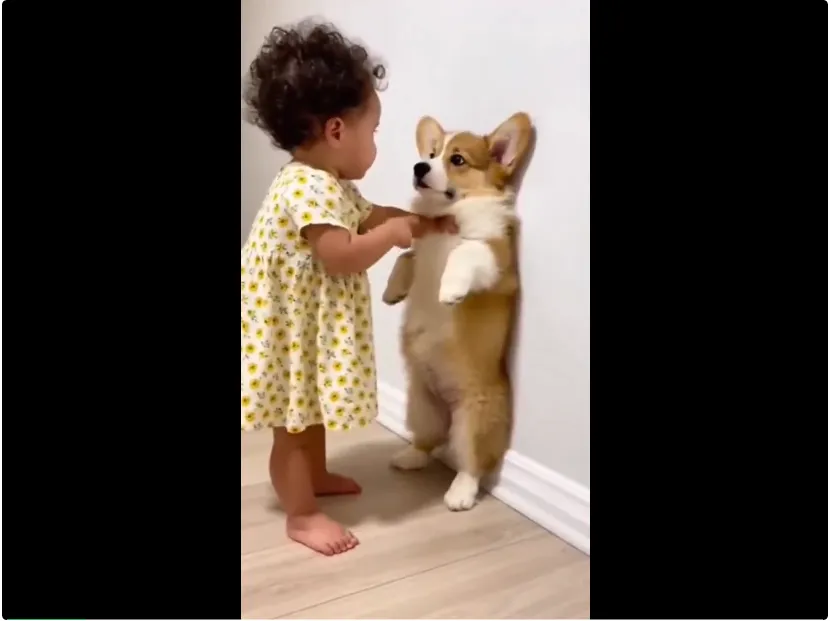 百万人围观的「萌娃教训小狗」视频火了，结果都是AI生成的｜附教程