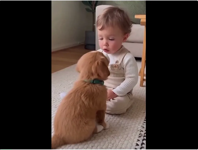 百万人围观的「萌娃教训小狗」视频火了，结果都是AI生成的｜附教程