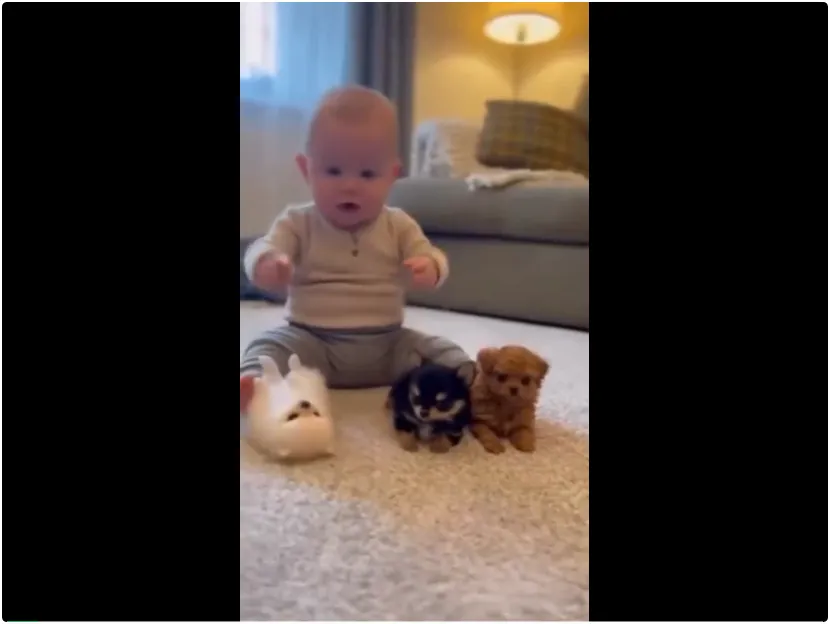 百万人围观的「萌娃教训小狗」视频火了，结果都是AI生成的｜附教程