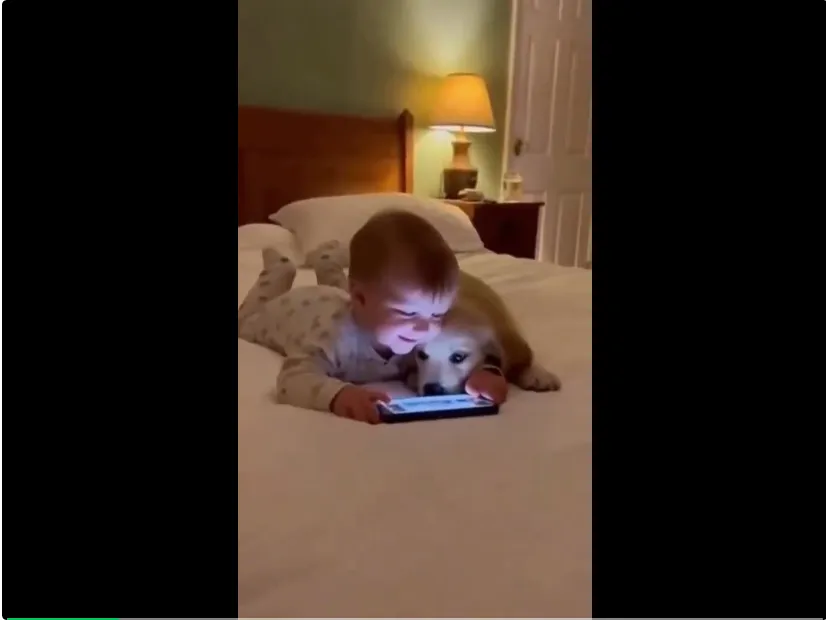 百万人围观的「萌娃教训小狗」视频火了，结果都是AI生成的｜附教程