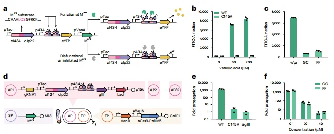 清华双成果颠覆蛋白质设计:AI 压缩序列空间,全自动进化工厂实现设计验证闭环