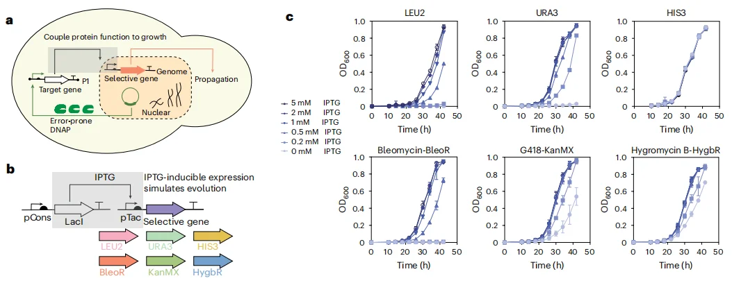 清华双成果颠覆蛋白质设计:AI 压缩序列空间,全自动进化工厂实现设计验证闭环